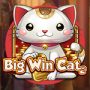 Big Win Cat