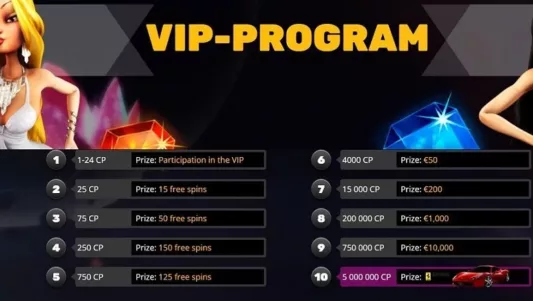 Playamo VIP program