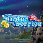 winterberries-slot-small logo