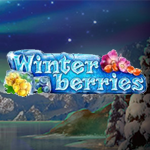 WinterBerries WinterBerries
