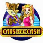 Cats and Cash slot small