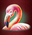 Great Rhino Slot - Flamingo Symbol