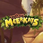 Meet the Meerkats Slot by Push Gaming