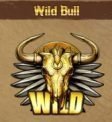golden colts wild bull