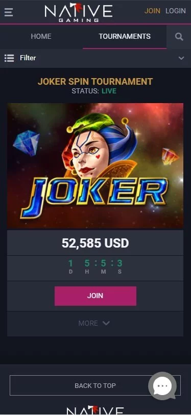 Native Gaming tournament screenshot