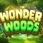 Wonder Woods 270 x 218