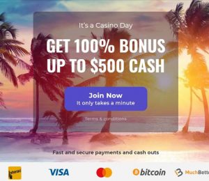 ¿es mega hamster un juego real?