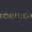 tortuga casino 270 x 218
