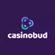 Logo image for Casinobud
