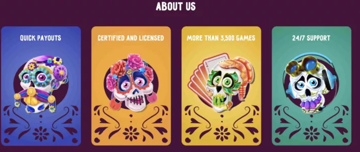 About Slotvibe casino