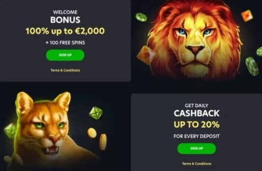 LionSpin-Promotions
