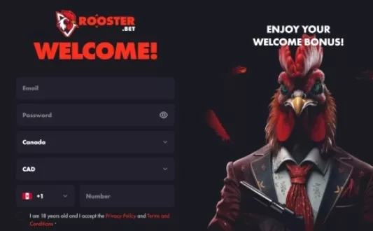 Rooster Bet Casino Sign Up