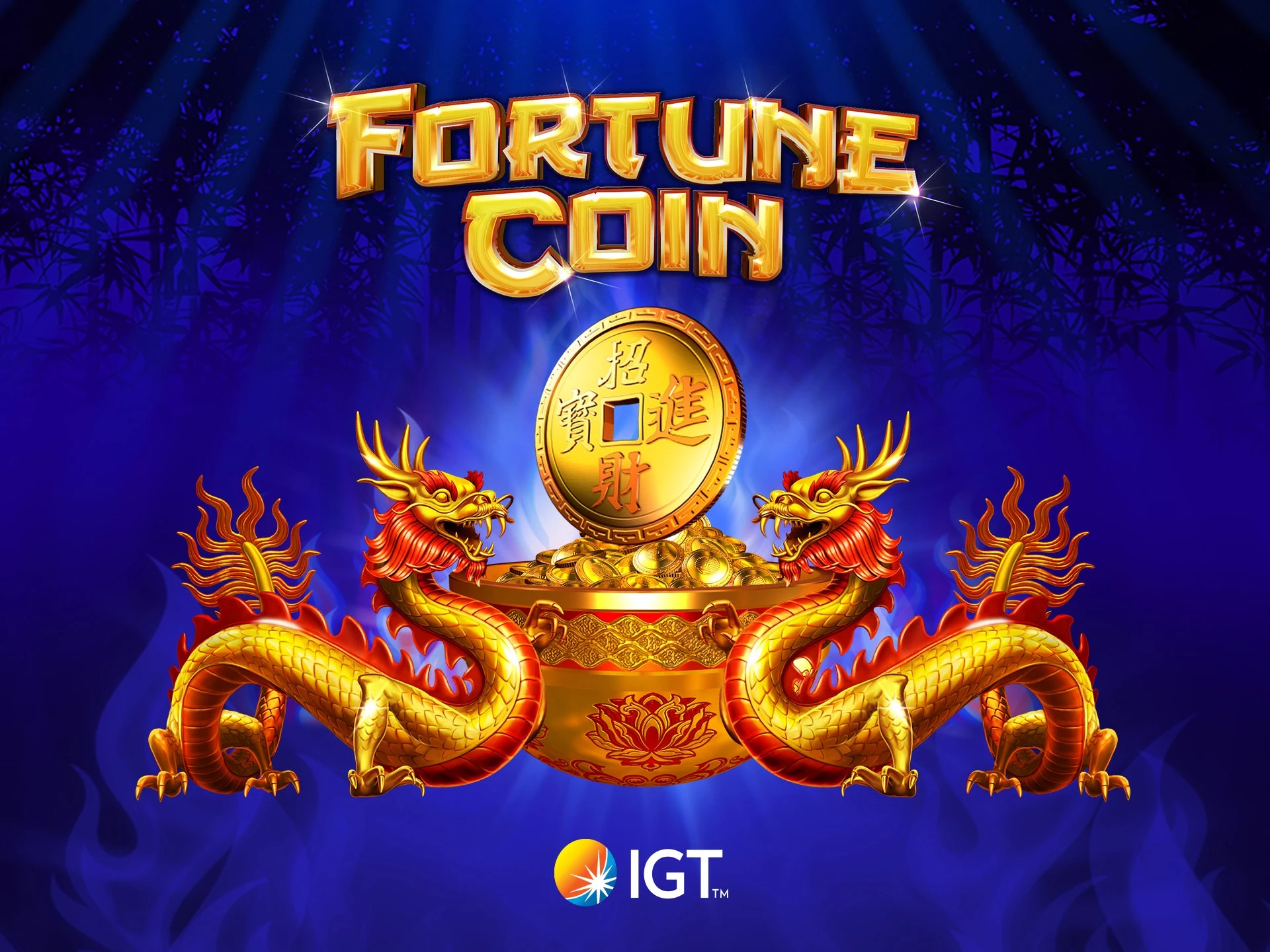 Fortune coin slot